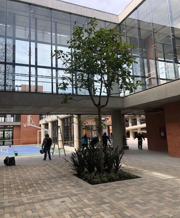 Institución Educativa Tecind Piloto